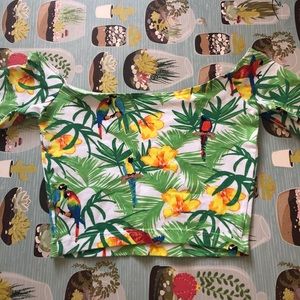 Parrot American apparel crop top